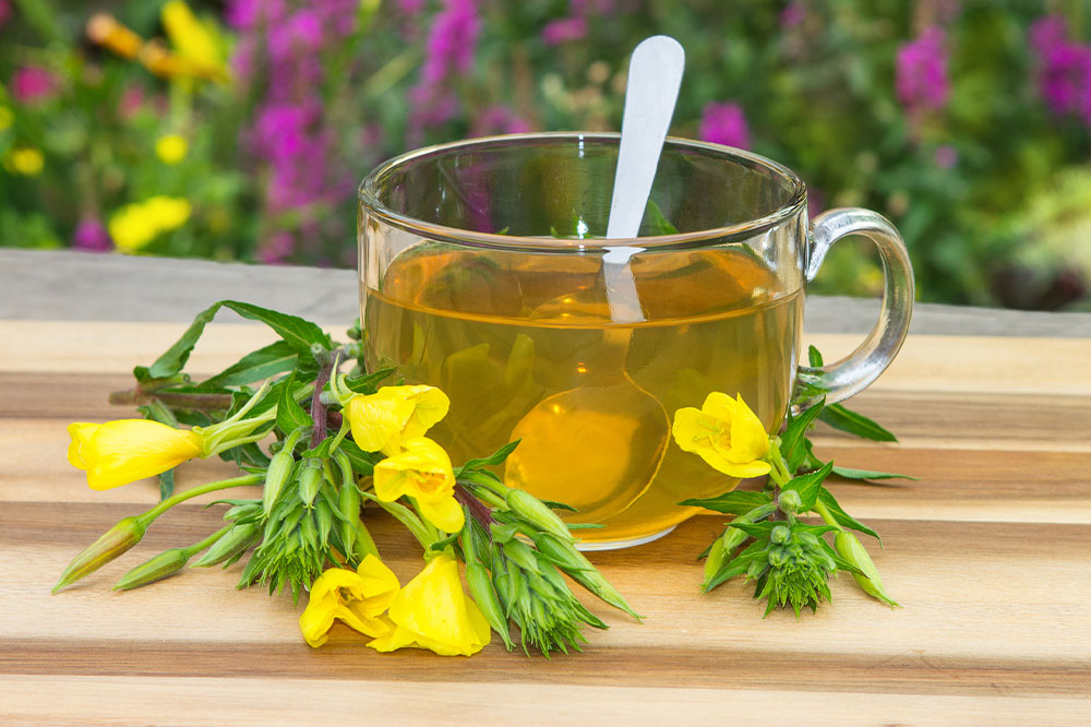 8 Herbs That Can Help Manage Overactive Bladder