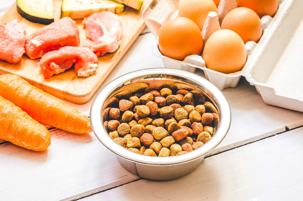 The Best and Worst Human Foods for Pets